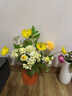 MPPMCK轻奢ins风仿真花艺术摆件仿真绿植年轻人桌面插花花艺装饰品 【主图热款】豆蔻年华花束+蓝色 实拍图