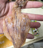 万景 北海淡干手撕鱿鱼干 净重250g/袋(19-22只)海鲜干货  煲汤烧烤 实拍图
