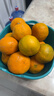 兀果语2025年云南密桔酸桔子当季薄皮橘子孕妇新鲜水果爆汁无核青 5斤 实拍图