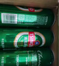 青岛啤酒（TsingTao）经典 500ml*18听整箱装（多厂生产随机发货）拉格啤酒 实拍图