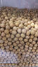 硃碌科有机黄豆3斤装  东北大豆豆浆豆 圆粒黄大豆打豆浆非转基因杂粮豆 实拍图