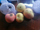 京鲜生 烟台红富士苹果 净重10斤 单果190g以上 生鲜水果 礼盒装 实拍图