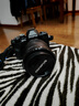 奥林巴斯（OLYMPUS）E-M10 MarkIV EM10四代 微单相机 数码相机 单机身 4.5档强化机身防抖 黑色 实拍图
