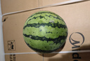 京鲜生 麒麟西瓜 1粒净重7-8斤 生鲜水果源头直发包邮 实拍图