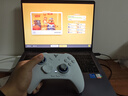 飞智冰原狼4多模版无线游戏手柄 类xbox 力调节摇杆双切扳机 switch电脑PC手机steam体感NS 丝之歌 实拍图
