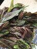 青樱红荔云南露天香椿嫩芽【顺丰送货上门】头茬香椿当季现摘红油香春叶菜 1000g 【划算装】 实拍图