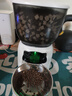 SMARTTAIL自动喂食器猫咪小型智能投喂器定时定量喂猫器猫粮狗粮远程喂食机 实拍图