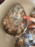 老蟹将 鲜活乳山生蚝 生态水域现捞牡蛎特大刺身级品质烧烤食材中秋送礼 4XL 5斤(包活到家) 实拍图