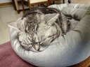 梵都宠舍 猫窝冬季保暖蛋挞猫垫子四季通用猫狗窝猫床猫咪用品宠物窝 实拍图