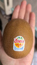 佳沛（zespri）新西兰  阳光金奇异果10粒礼盒巨大果单果约144-175g 水果 猕猴桃 实拍图