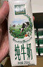 伊利【新鲜日期】金典纯牛奶整箱 250ml*16盒 3.6g乳蛋白 礼盒装 实拍图