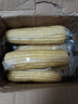 京鲜生东北白糯玉米330g*8根 甜黏玉米低脂早餐代餐粗粮真空装 源头直发 实拍图