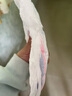 茵茵元気小精灵婴儿拉拉裤尿不湿超薄男女宝宝专用XL码46片(12-17kg) 实拍图