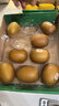 佳沛（zespri）新西兰  阳光金奇异果10粒礼盒巨大果单果约144-175g 水果 猕猴桃 实拍图