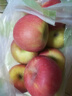 京鲜生 塞外红阿克苏苹果礼盒 净重10斤 果径80-85mm  实拍图