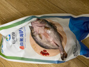 仙泉湖三去白蕉海鲈鱼1斤/条净膛冷冻刺少肉厚珠海特产500g生鲜食材 实拍图