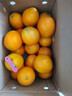 集南鲜 赣南脐橙 江西橙子新鲜现摘水果脐橙时令生鲜水果甜橙 水果礼盒 彩箱10斤特级橙  单果220g+ 净重9斤 推荐 实拍图