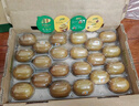 佳沛（zespri）新西兰  阳光金奇异果巨大果22粒原箱 单果重约144-175g 猕猴桃 实拍图