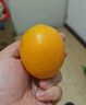 江西赣南早脐橙整箱当季新鲜早橙子榨汁水果礼盒皮薄多汁节日团购 【90%人选】净重9斤单个200g+ 实拍图