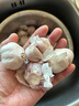 大蒜头出口品质网兜紫蒜蔬菜调料新鲜大果烧烤火锅食材 【精品网兜装】5斤装 2300g 实拍图