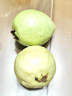 京喜加【送酸梅粉】福建白心芭乐 番石榴 可做拌水果 京东快递 2颗大果 带箱 实拍图