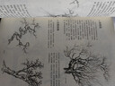 中国山水画技法学谱（修订版） 晒单实拍图