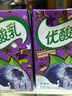 伊利优酸乳蓝莓味250ml*24盒/箱乳饮料 牛奶饮品 礼盒装 实拍图