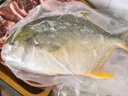 1号会员店（One's Member）甄选海南二去金鲳鱼去鳃去内脏生鲜鱼类 海鲜水产 700g/2条装 实拍图