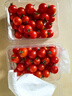 京鲜生＆富美鹤城 樱桃番茄净重430g*2盒 脆甜小西红柿 源头直发 实拍图
