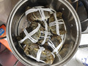 【活蟹】湖鲜阳澄大闸蟹全母3.0-3.3两8只去绳足重现货鲜活送礼螃蟹海鲜礼盒装源头直发 实拍图