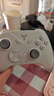 飞智冰原狼3  多模版无线游戏手柄 类xbox杠杆霍尔摇杆switch电脑PC手机steam体感NS 实拍图