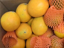 京觅江西赣南脐橙 5斤 单果200g+ 新鲜水果生鲜应当季橙子 源头直发 实拍图