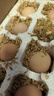 谷物鲜鸡蛋 农户散养新鲜鸡蛋 单枚50g±5 30枚（50克/枚） 实拍图