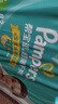 帮宝适（Pampers） 超薄干爽婴幼儿绿帮纸尿裤男女通用尿不湿 L164片【9-14kg】 实拍图