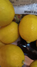 京鲜生 安岳黄柠檬16粒 单果95g-120g 生鲜水果 实拍图