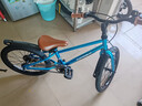 途锐达超轻儿童自行车3-6-8岁女孩男孩脚踏车小孩学生单车18寸峰鸟蓝 实拍图
