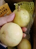 黄金百香果钦蜜9号新鲜当季现摘精选好果水果百香果鲜果酸甜可口 钦蜜9号黄金百香果40~60g中果1斤 实拍图