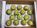 京鲜生 长城玉露香梨 山西 净重5斤 单果150g+ 生鲜水果礼盒 实拍图