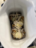 【活蟹】蟹宗大闸蟹鲜活螃蟹河蟹现货全母3.5-3.8两8只去绳足重水产生鲜海鲜礼品礼盒 实拍图
