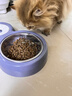 甜浪海猫碗双碗自动喂食器不锈钢狗盆幼猫吃饭喝水防打翻饮水机宠物食盆 实拍图