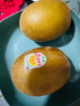 佳沛（zespri）新西兰 阳光金奇异果12粒礼盒特大果单果约122-146g 猕猴桃 水果 实拍图