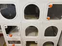 蔻丝猫笼子带厕所一体适合大猫家用室内三层超大自由空间猫别墅猫柜 实拍图