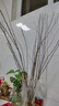 干枝雪柳水插花水培鲜花室内客厅阳台观花绿植鲜枝水养年宵花卉植 雪柳75CM高20支不含瓶 实拍图