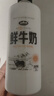 青海湖高原娟姗鲜牛奶500ml 高端奶牛 鲜奶 低温奶 巴氏杀菌  实拍图