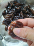 东北黑木耳干货特级秋木耳小云耳野生商用特产脆毛一级小碗耳 黑木耳500g*1袋 实拍图