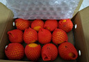 京鲜生 爱媛果冻橙 10斤装 单果150g起 生鲜水果桔子礼盒 实拍图