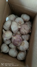 精选新鲜山东大蒜干蒜多瓣蒜头蔬菜批发产地直发大蒜头 优选 3斤 (果径≥3.5cm) 实拍图