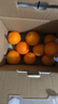 【整箱】爱媛果冻橙约2.5kg 实拍图