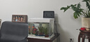 森森（SUNSUN）超白鱼缸一体缸自循环客厅桌面小型家用水族箱HEJ-380 实拍图