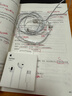 Apple/苹果 USB-C接口有线耳机 type-c接口有线耳机苹果耳机 苹果17有线耳机笔记本耳机游戏音乐 实拍图
